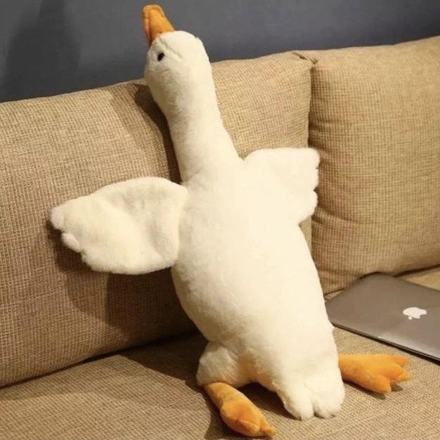 4kcfayvkcfyvauyv