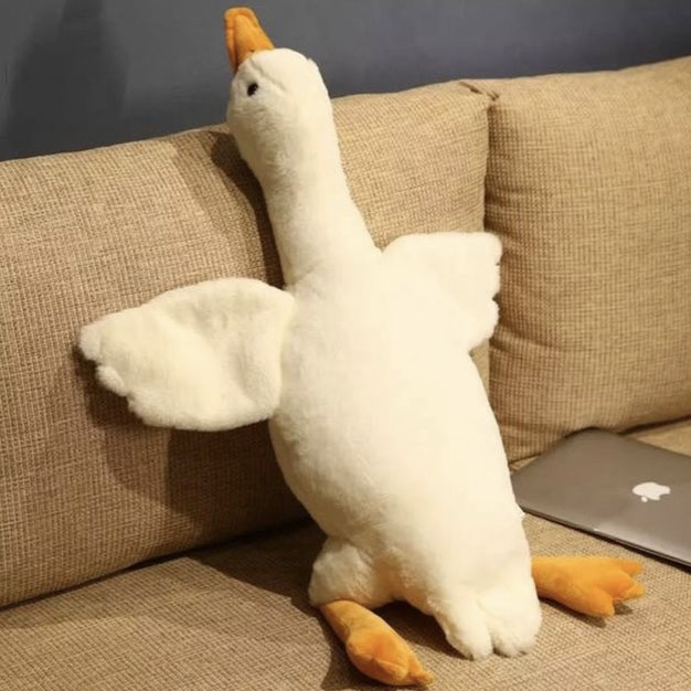 sfgdrgsdgsdagsgdsasa